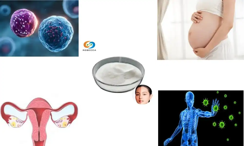 What does bromelain do for females?